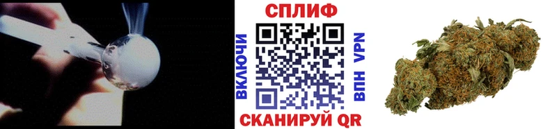 Марихуана план  купить наркотик  сайты даркнета какой сайт  Протвино 